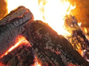 Survival Skills Why Fire Is Essential